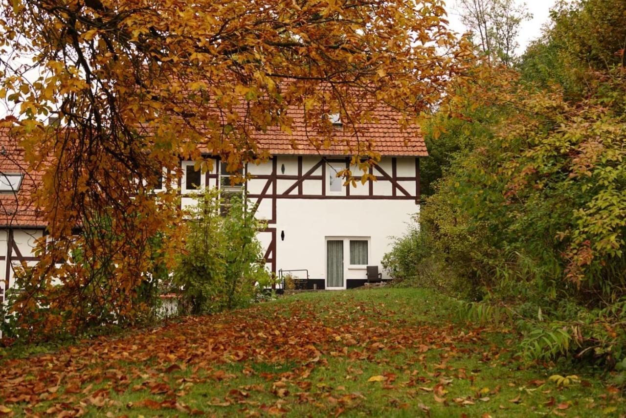 Apartmán Haus An Der Werbe Waldeck  Exteriér fotografie