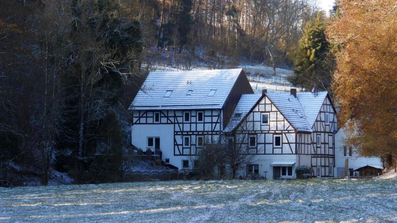 Apartmán Haus An Der Werbe Waldeck  Exteriér fotografie