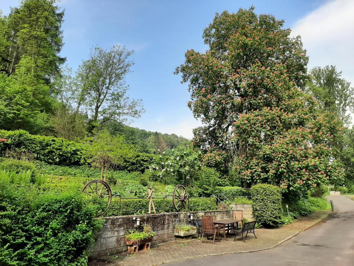 Apartmán Haus An Der Werbe Waldeck  Exteriér fotografie