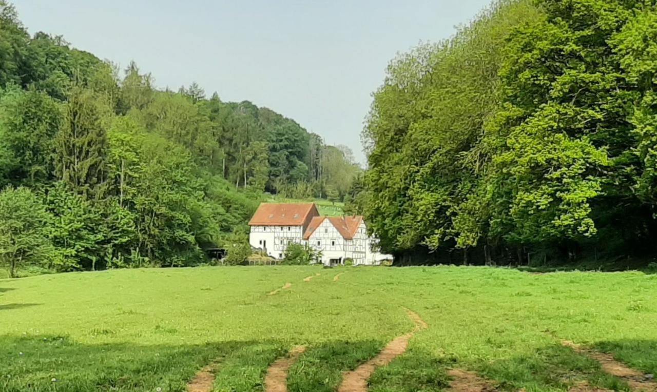 Apartmán Haus An Der Werbe Waldeck  Exteriér fotografie